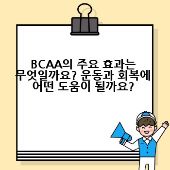 BCAA의 주요 효과는 무엇일까요? 운동과 회복에 어떤 도움이 될까요?